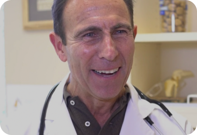 Veterinarian Dr. Jeff Werber video