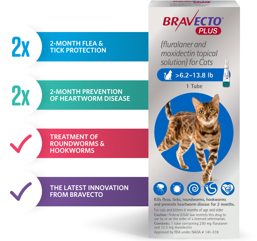 Bravecto Plus product with popups to left that state specifics