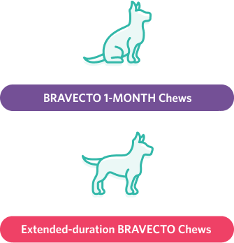 Puppy icon Bravecto 1-Month Chews and Extented-duration Bravecto Chews