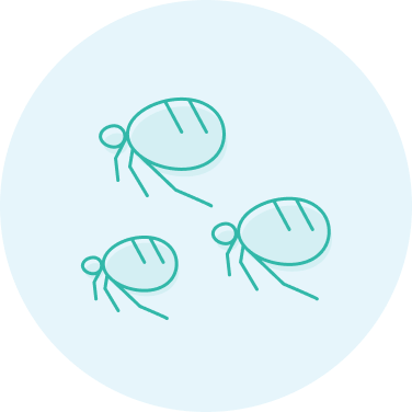 Green fleas icon with blue background circle