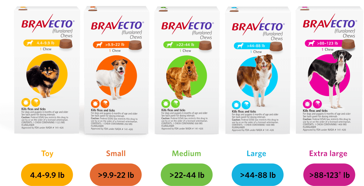 Bravecto For Dogs - us-bravecto-com