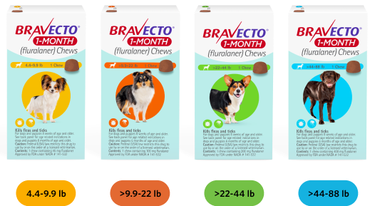 Four Bravecto 1-Month Chews products for dogs 4.4-9.9 lb, 9.9-22 lb, 22-44 lb, 44-88 lb 
