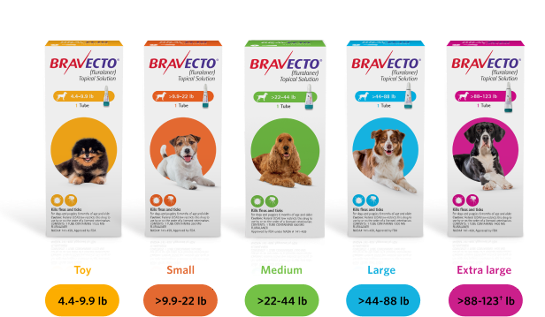 Does Bravecto Cause Itching In Dogs