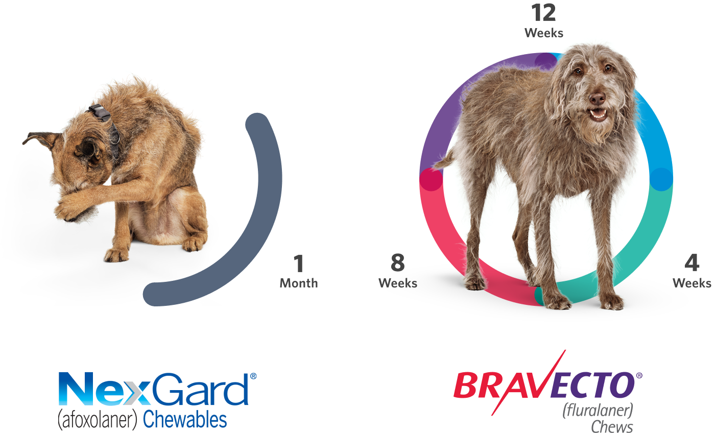 Bravecto vs Nexgard
