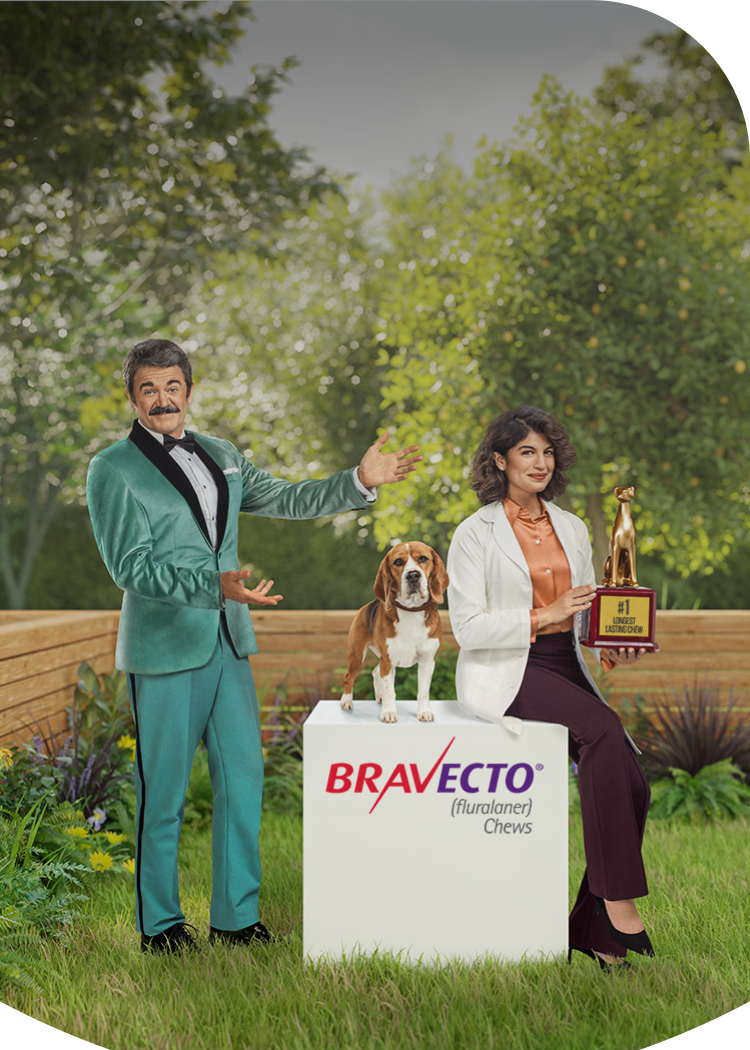 Man with mustache and tuxedo smiling with beagle and veterinarian woman with dog trophy 
