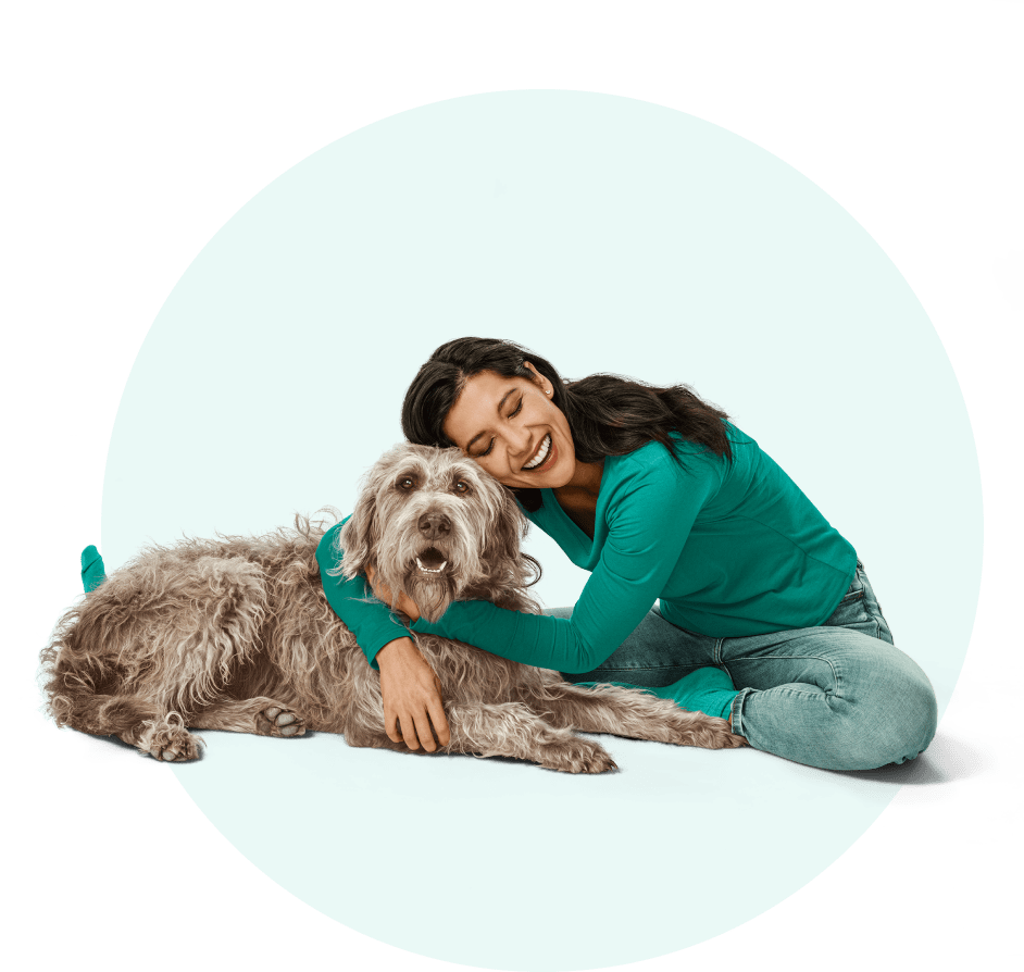 Bravecto For Dogs - us-bravecto-com