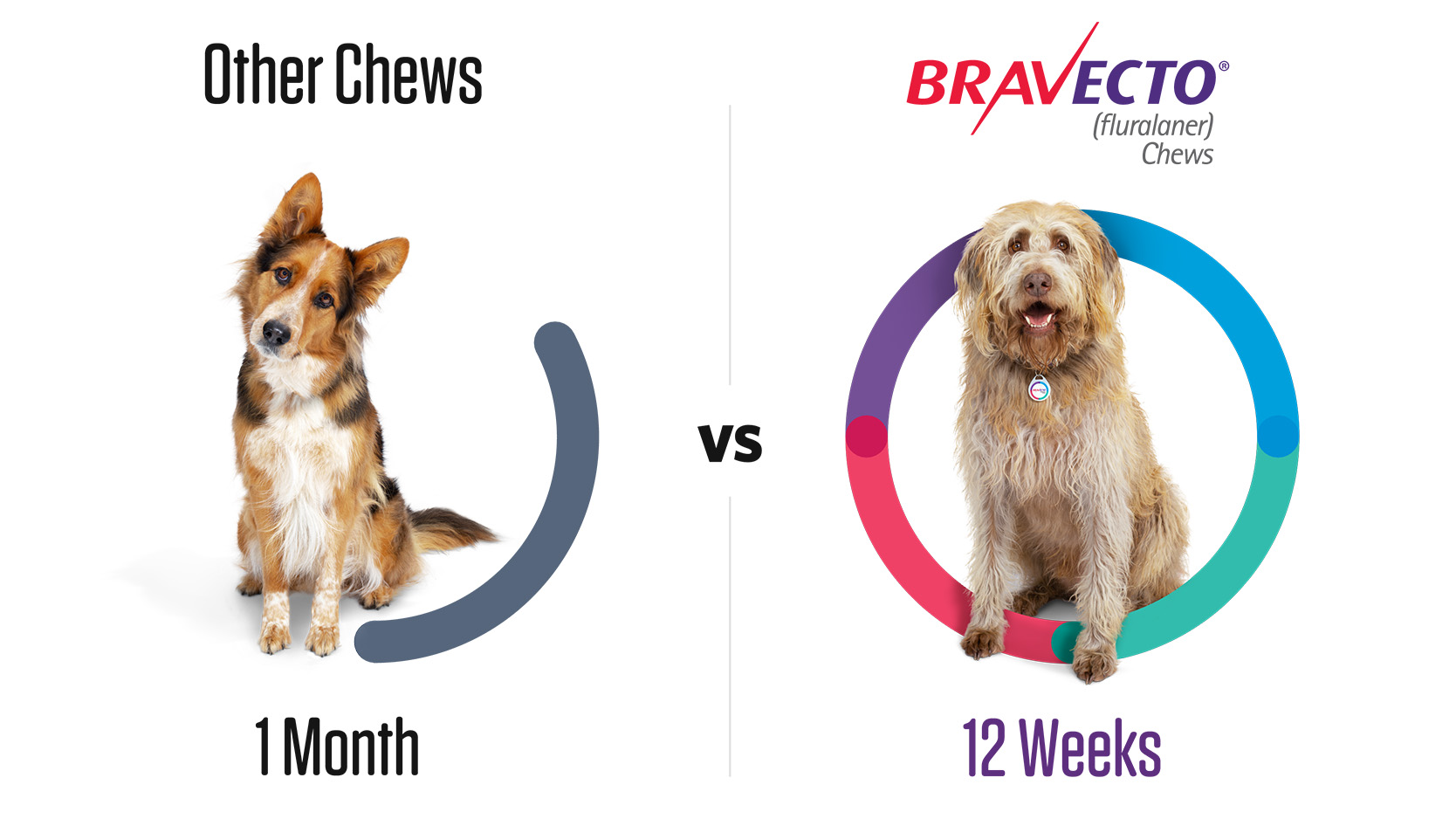 Bravecto For Dogs