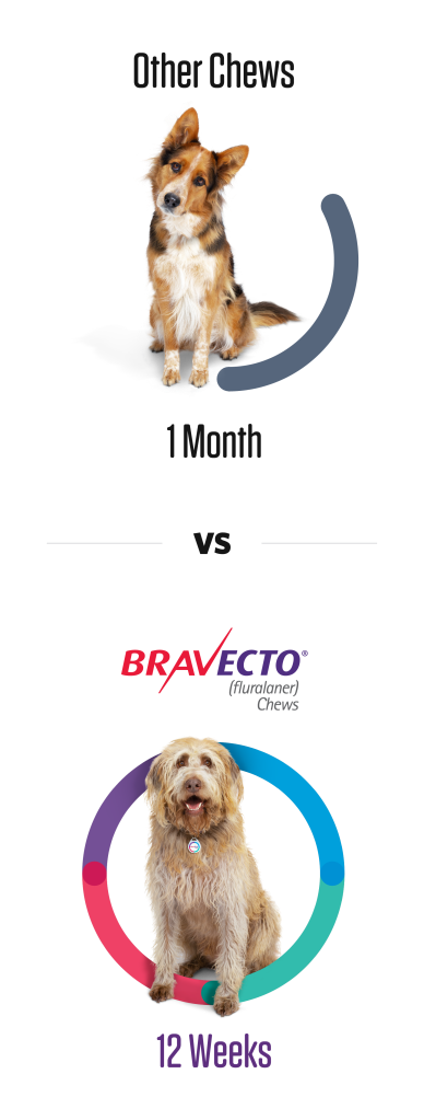 Bravecto Topical Solution for Dogs 9.9-22 lbs, 3 Month Supply