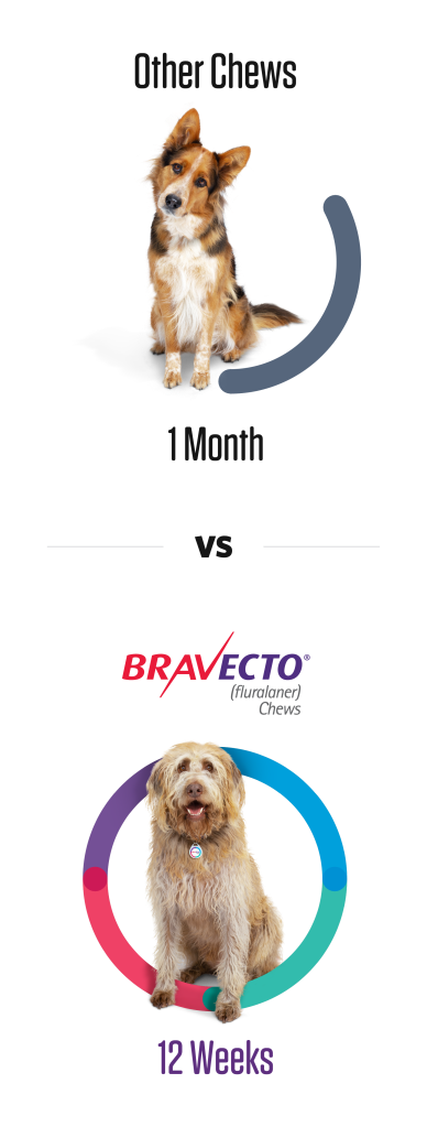 Bravecto large 2024 dog best price