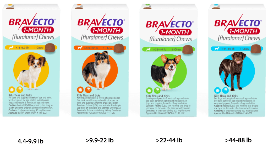 Bravecto for Puppies us bravecto com