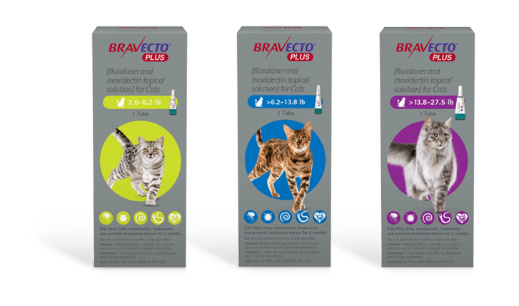 Bravecto Topical Solution for Dogs 9.9-22 lbs, 3 Month Supply