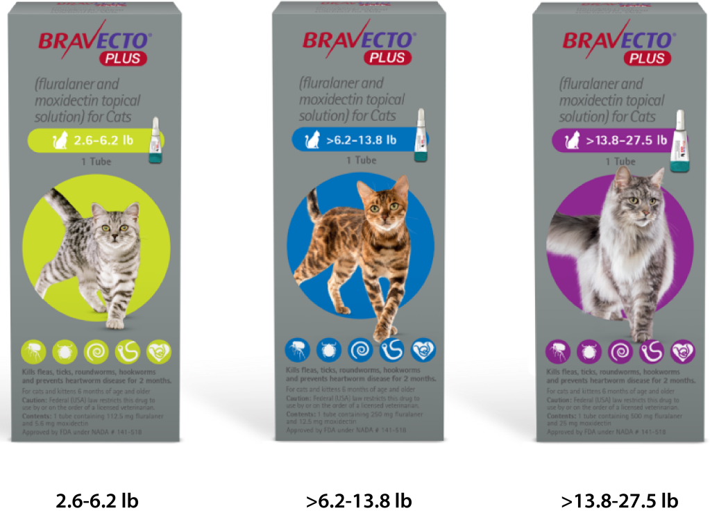 Bravecto Plus For Cats us bravecto com