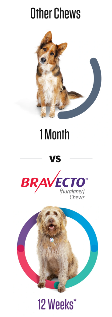 Bravecto Chews for Dogs us bravecto com