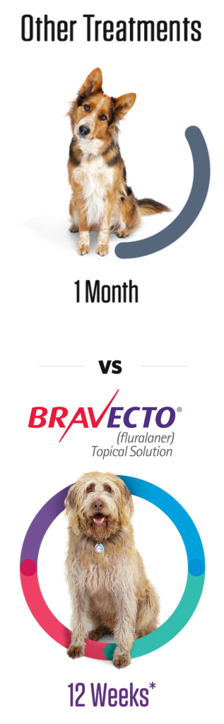 Bravecto topical for dogs hotsell