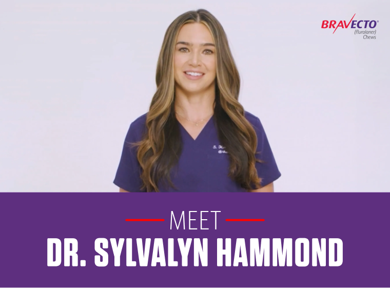 Dr. Sylvalyn Hammond