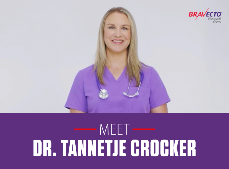Dr. Tannetje Crocker