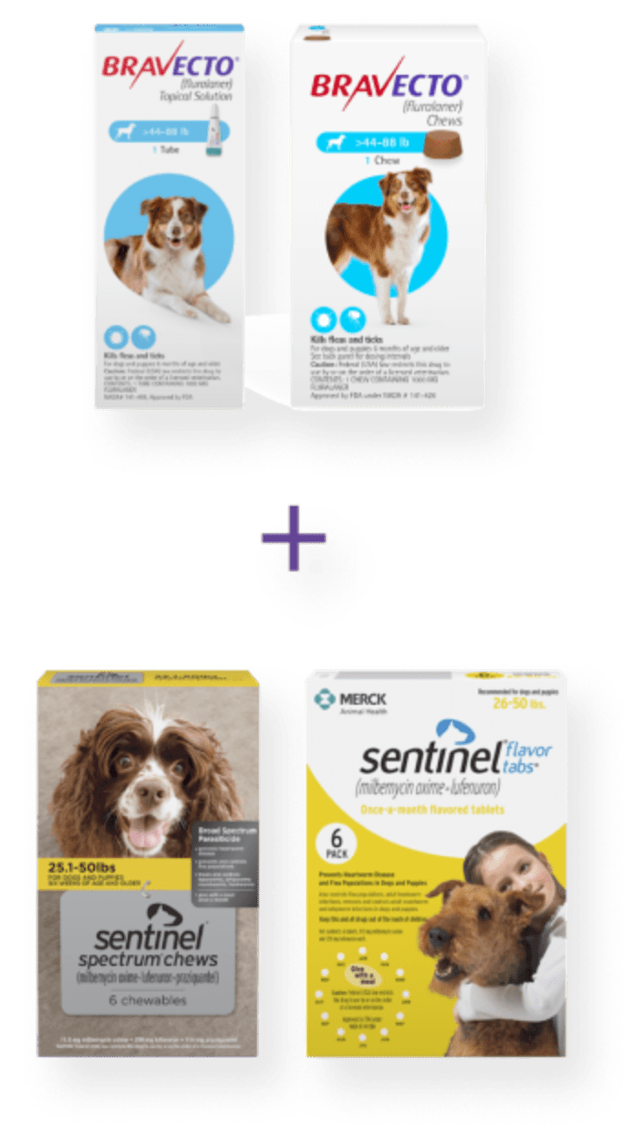Choose Complete Parasite Protection | us-bravecto-com